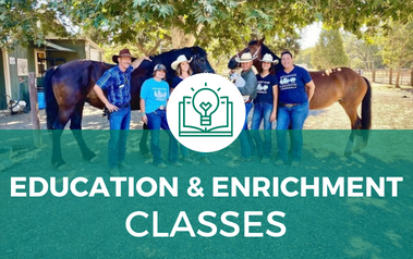 Education and Enrichment Classes - Image of people standing in front of two horses