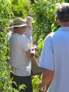 Learning in the Garden