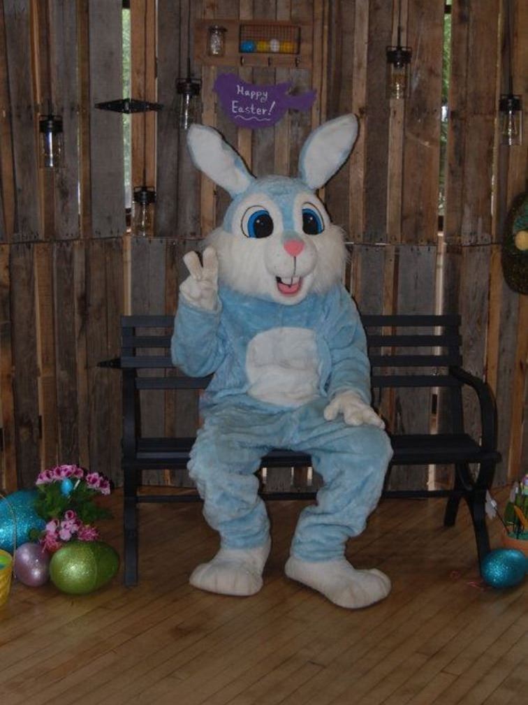 blue mascot bunny