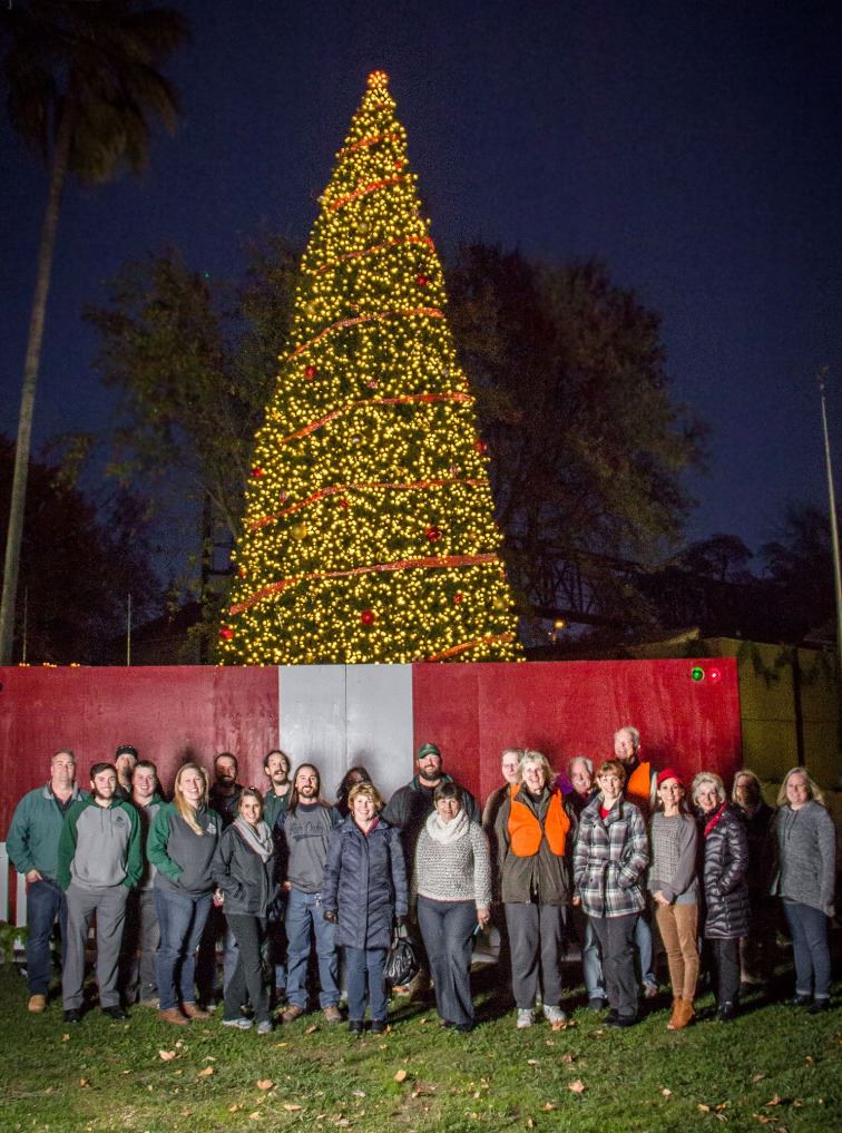 group picture in front of holiday tree
