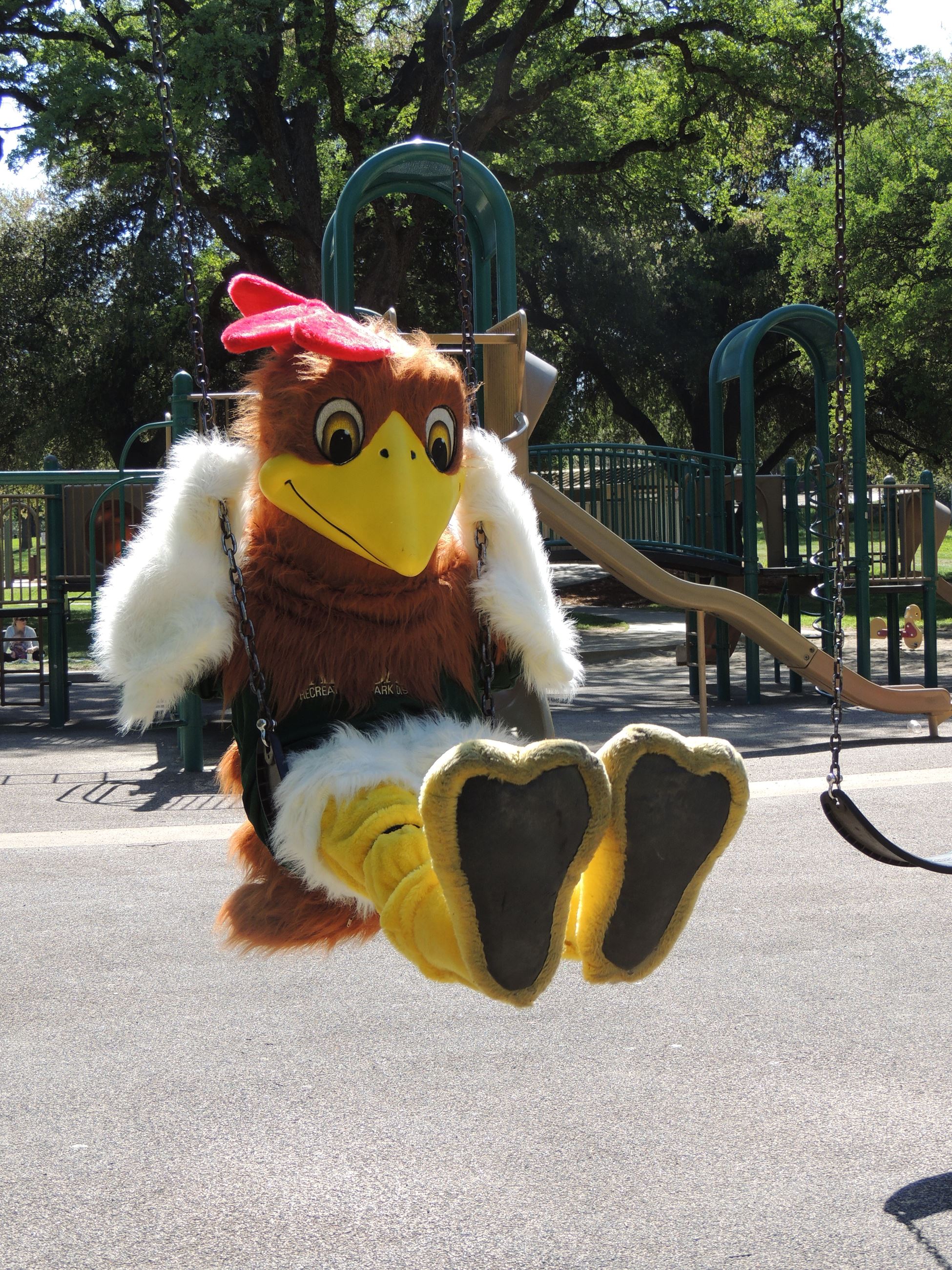 rocky playing on playground