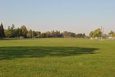 Soccer Field