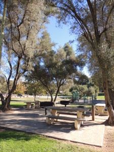 paved area with picnic tables and grills, trees surrounding them