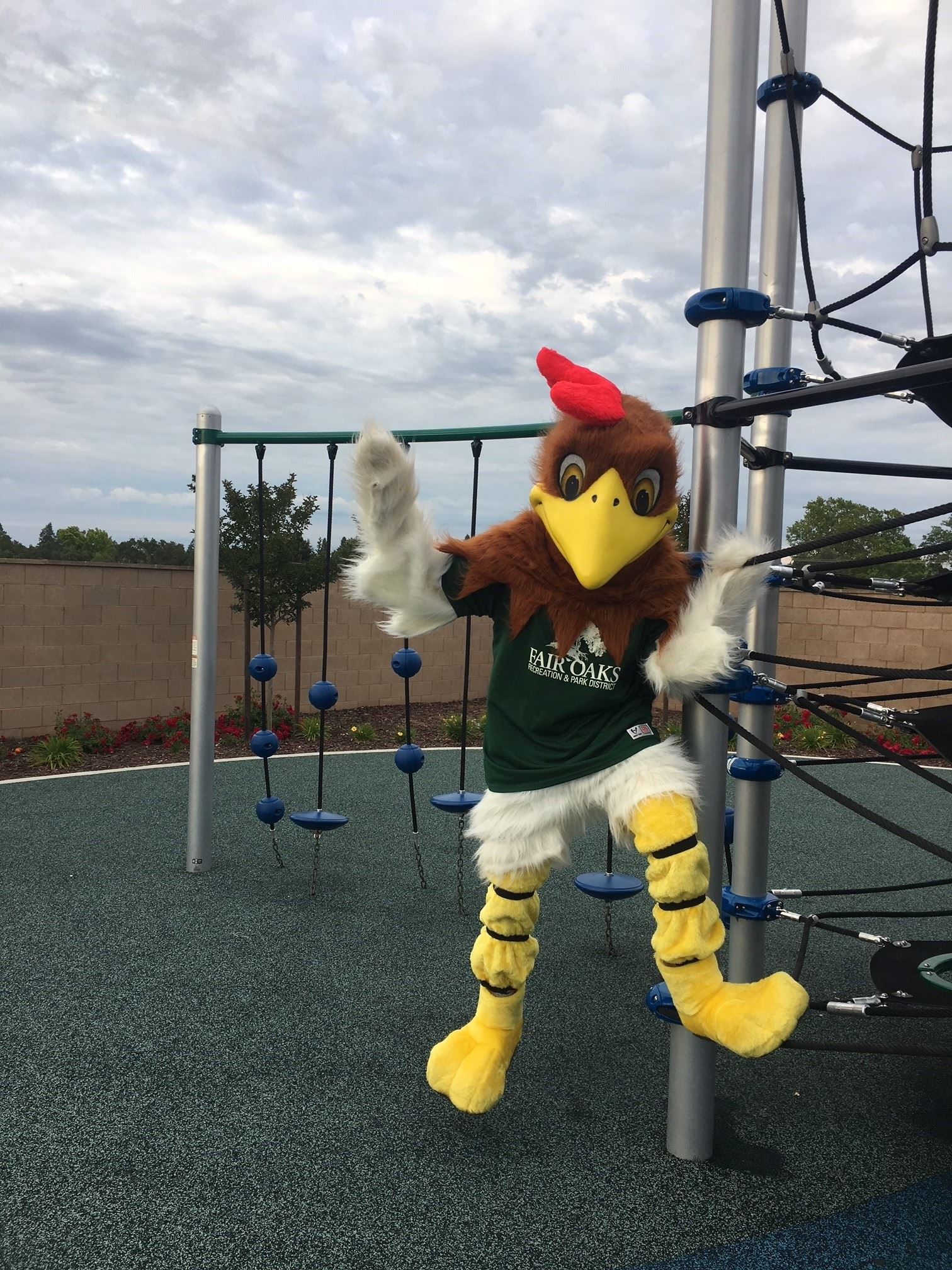 Mascot playing on the playground Mascot playing on the playground